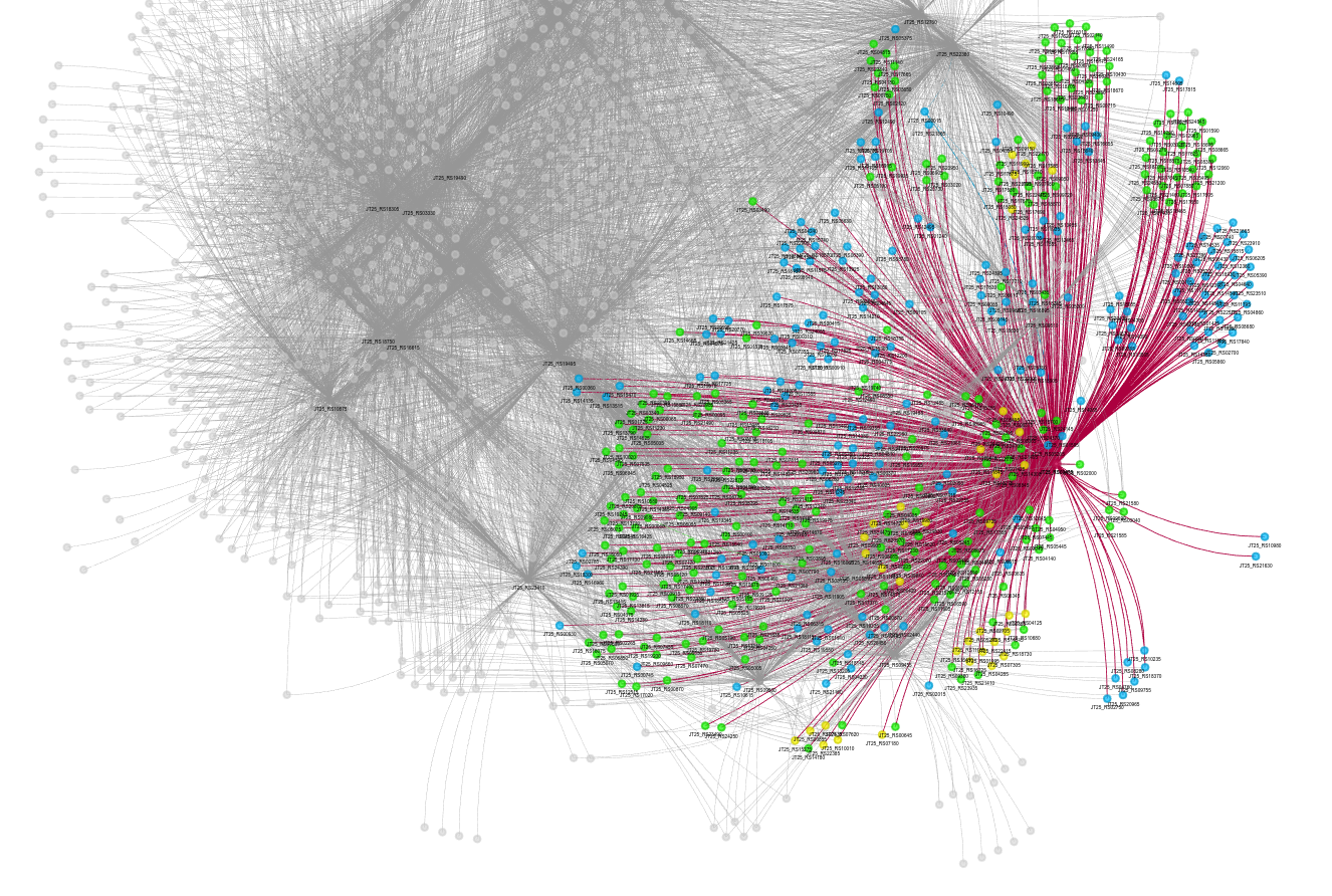 ProGRN_FJG1_Subnetwork_10k